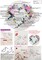 Maydear Embroidery Kit for Beginners Adults with Flower Pattern, Cross Stitch Kits, French Stamped Embroidery Starter Kit Including Embroidery Hoop Color Threads and Embroidery Scissors